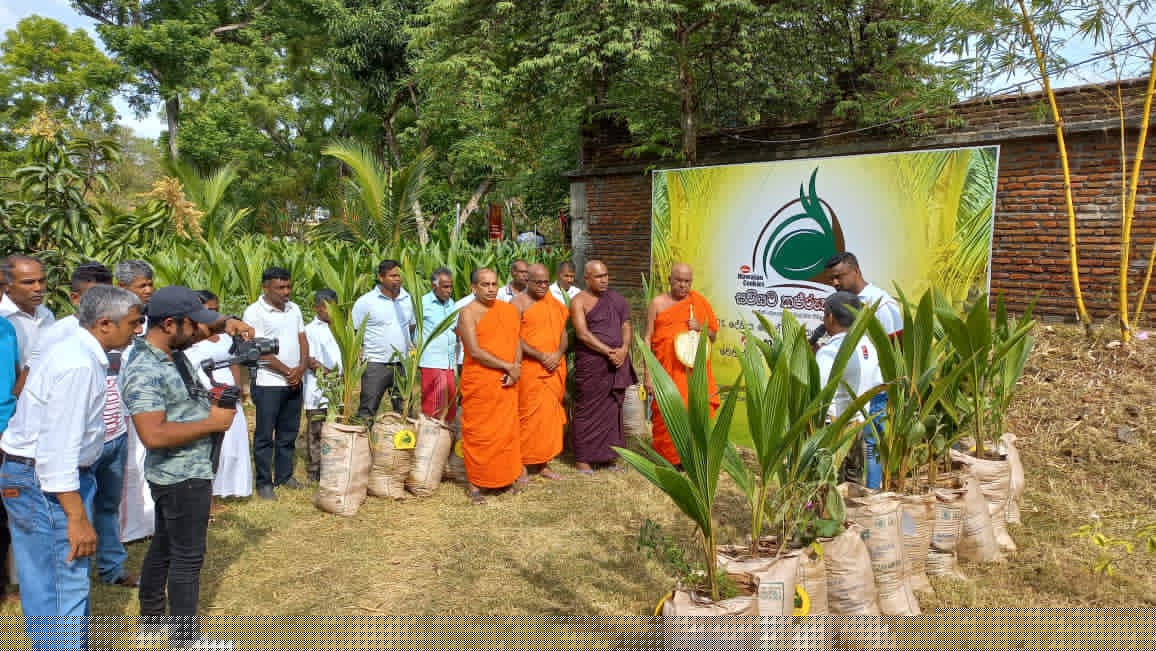 Hawaiian Kapruka - Image 6